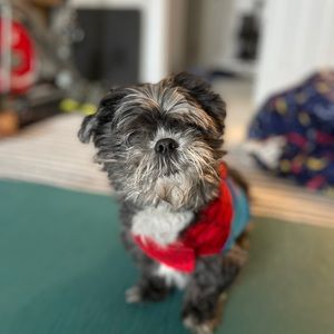 Meet your Posher, Angela